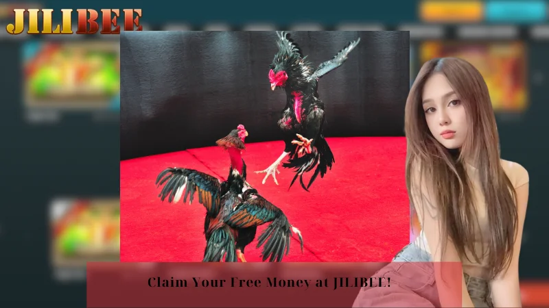 how to place a sports bet